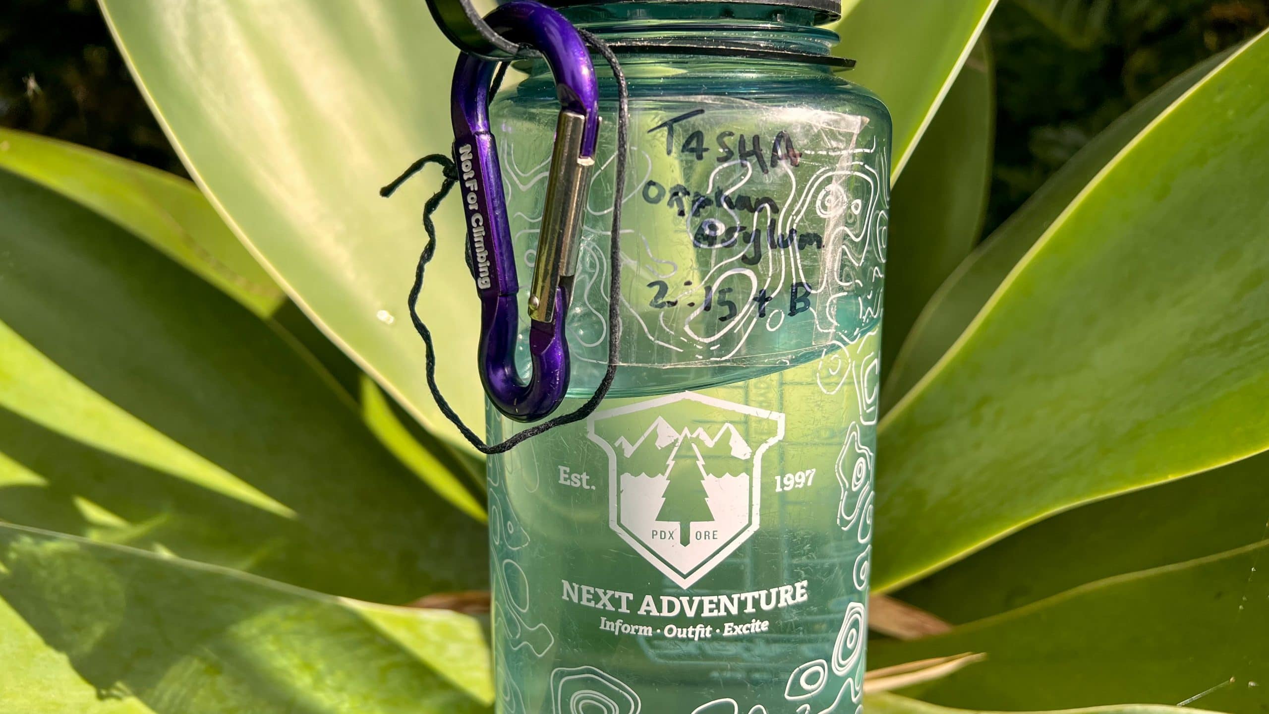 A blue Nalgene water bottle positioned in a plant with a logo that says Next Adventure. A piece of clear tape is on the bottle and says Tasha, Orphan Asylum, 2:15 & B signifying a camp address at Burning man for labeling your valuables at the festival.
