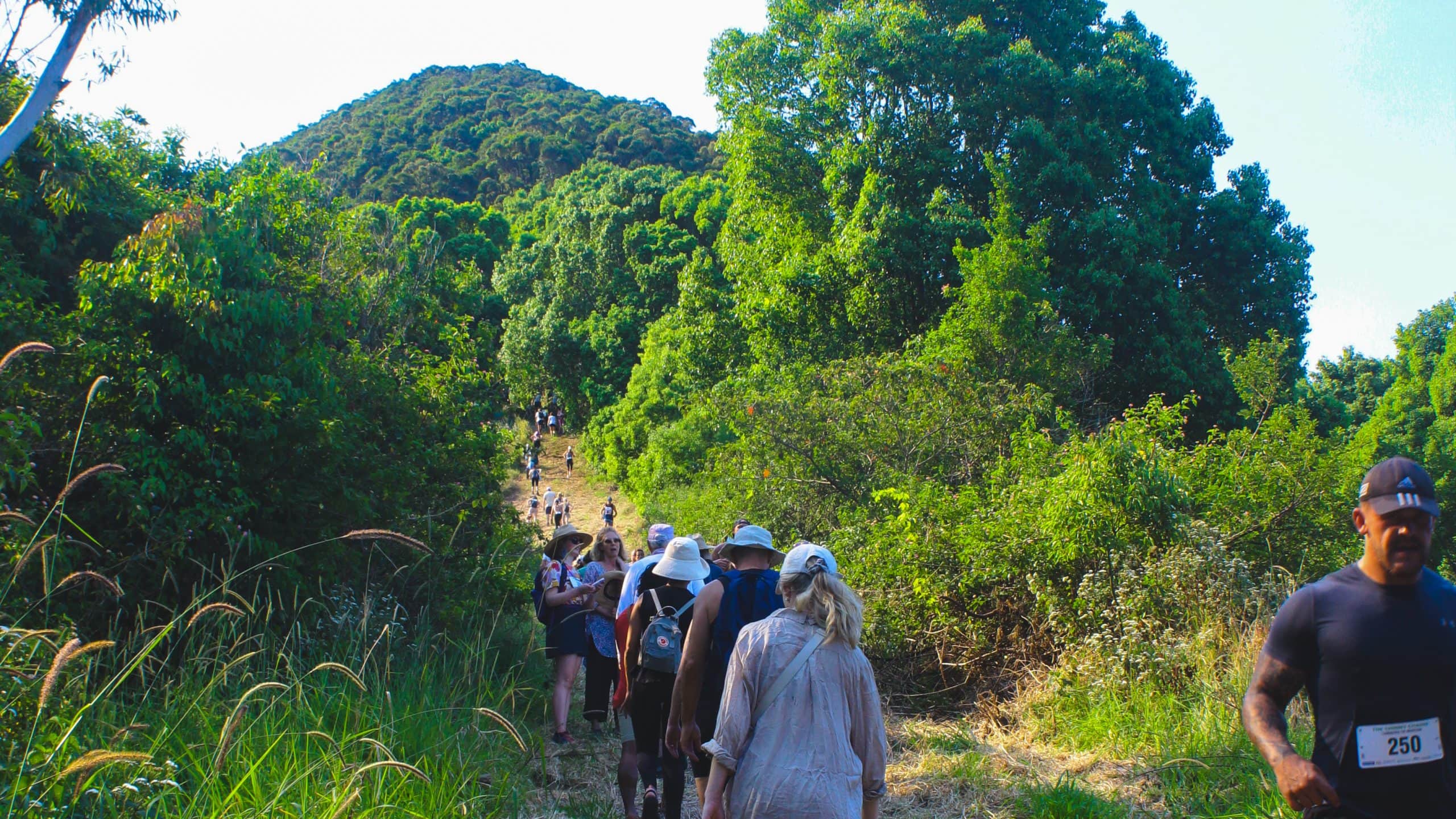 View of Mount Chincogan from hiking the Chinny Charge. A line of people hiking up the path and the top in the distance. One runner running down past the camera.