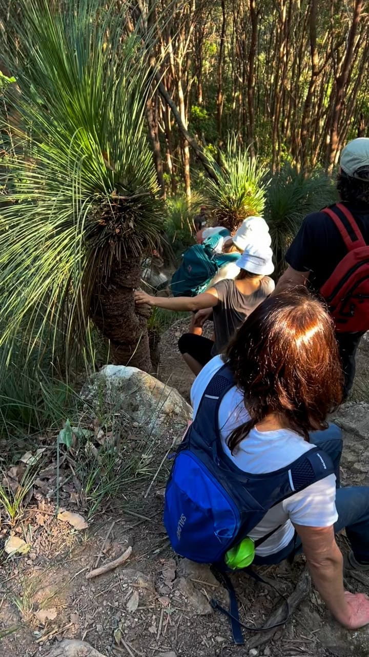 Downward view of a queue of people rock scrambling down mount Chincogan at Chinny Charge 2024.