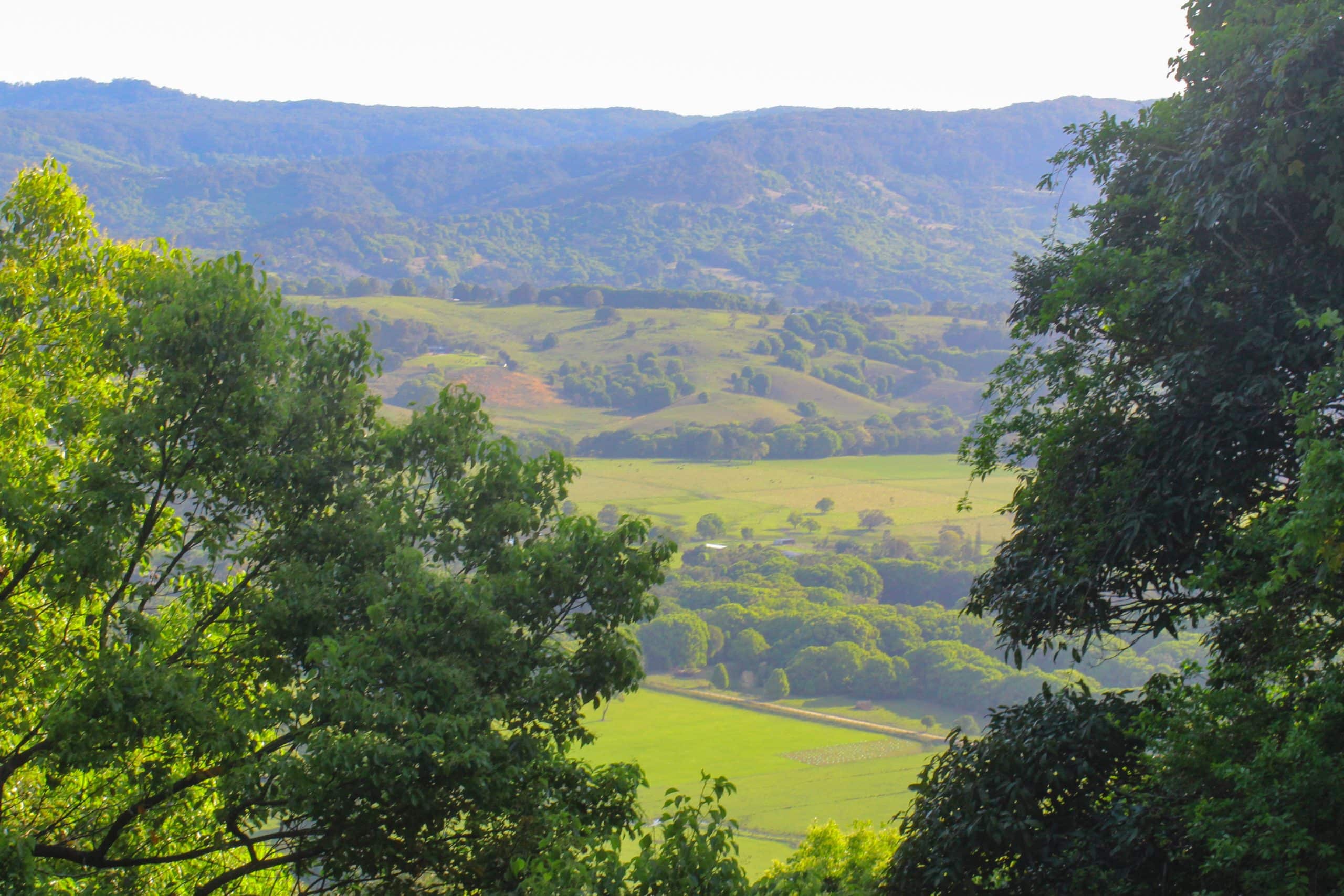 Lush green views of Mullumbimby from near the top of Mount Chincogan at the Chinny Charge.