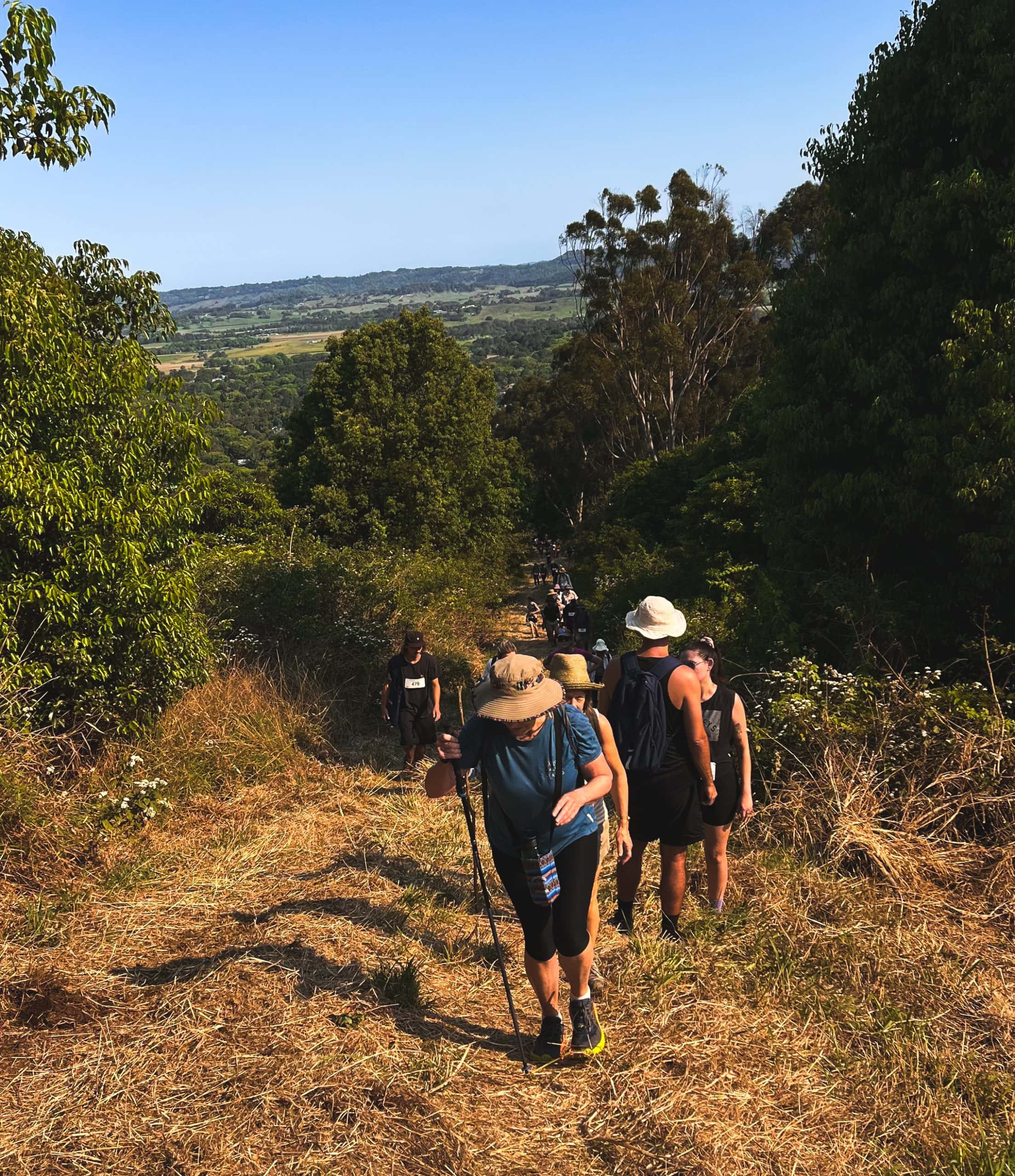 View from Mount Chincogan and walkers hiking up pathway.